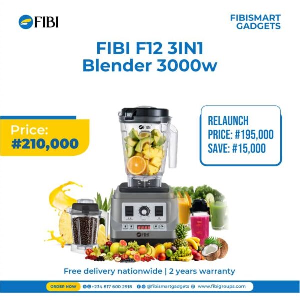 FIBI F12 3-in-1 2L Professional Blender