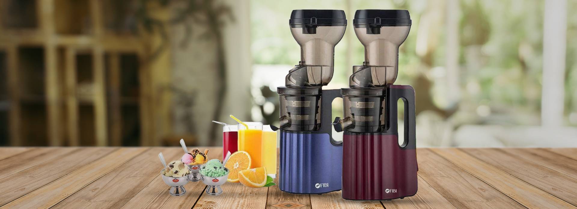 FIBI Vital Juicer/Ice Cream Maker
